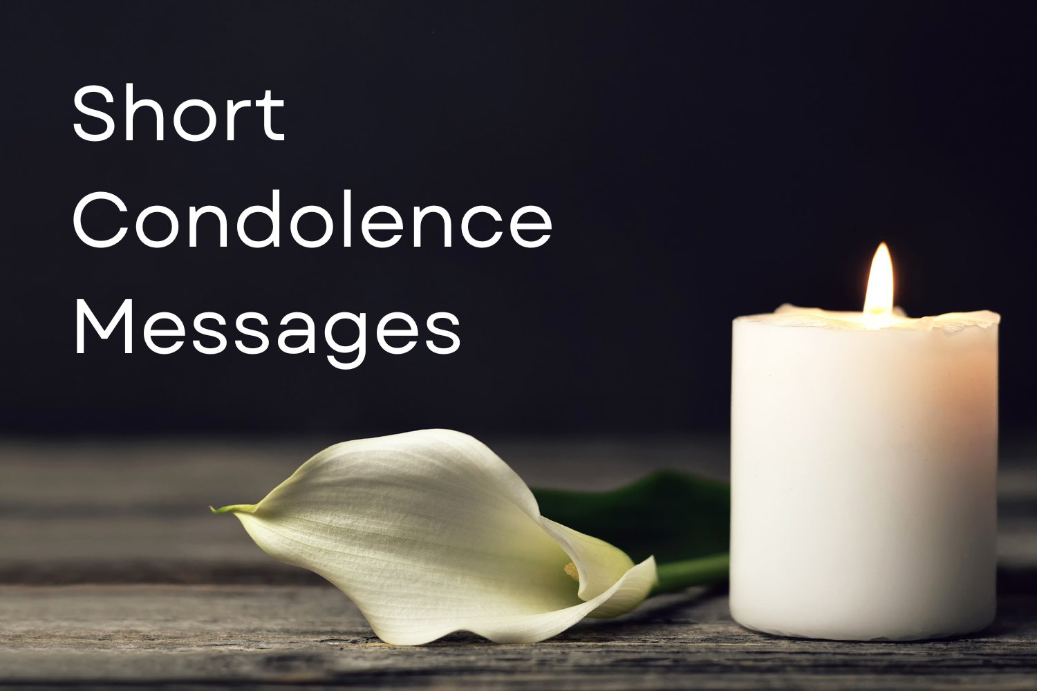 50 Short Condolence Messages Inspired by Grief Experts - The Comfort Company