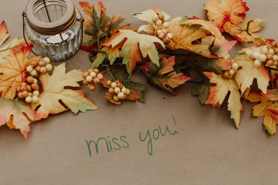 Thanksgiving Grief: 8 Missing You on Thanksgiving Ideas – The Comfort ...