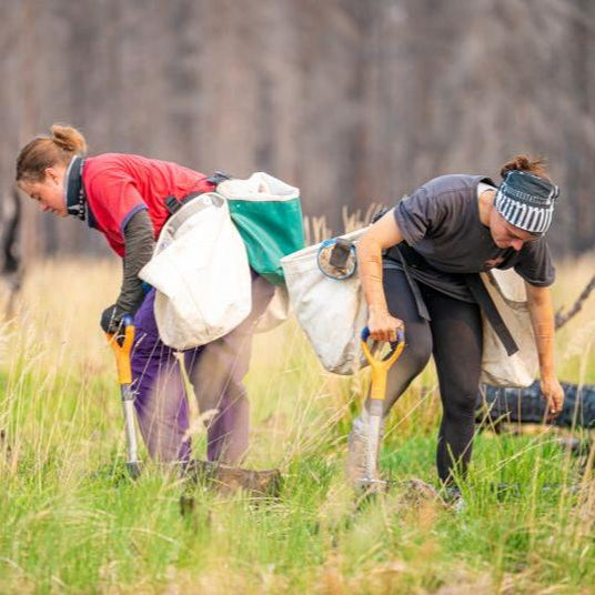 Memorial Tree Planting